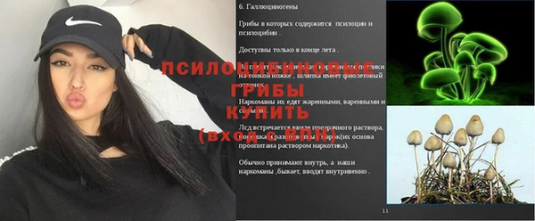 прущие грибы Киренск