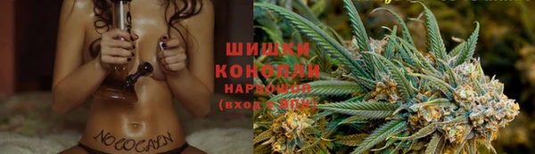 прущие грибы Киренск