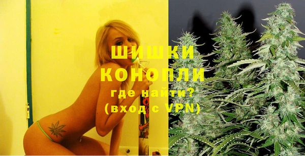 прущие грибы Киренск