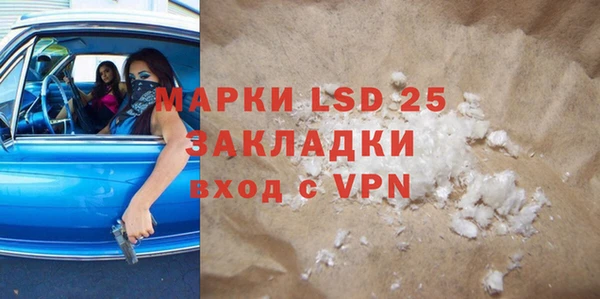 прущие грибы Киренск
