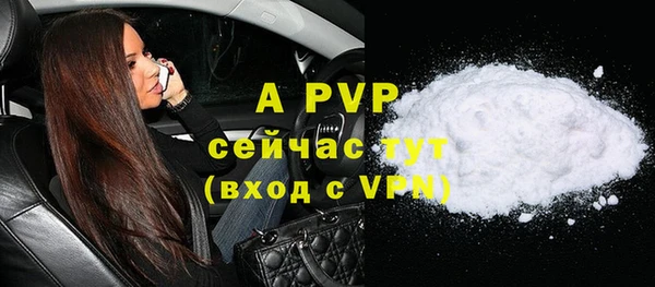 прущие грибы Киренск