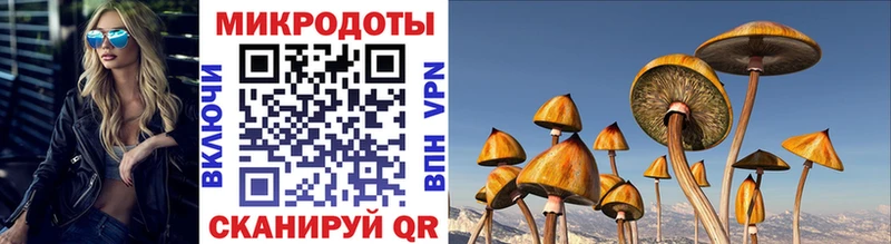 Галлюциногенные грибы GOLDEN TEACHER  Купить  Борисоглебск 